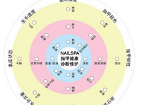 确定指甲的类型 正确护甲